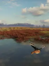 TheHunter: Call of the Wild - Salzwiesen Park