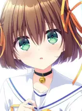 D.C. Re:tune