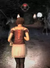 Project Zero 2: Wii Edition
