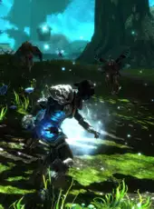 Kingdoms of Amalur: Re-Reckoning - Fate Edition