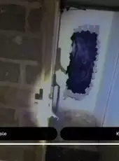 Spider Mall!