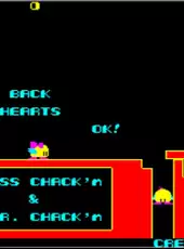Arcade Archives: Chack'n Pop