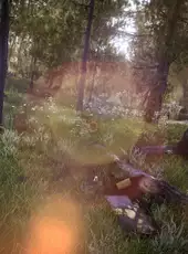 Forest Ranger Simulator