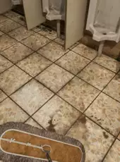 Terminal Toilet Simulator
