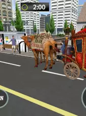Passenger Camel Taxi Driving