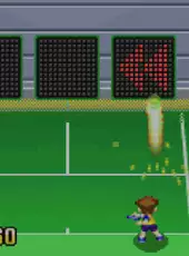 Mario Tennis: Power Tour