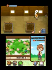 Harvest Moon: The Tale of Two Towns