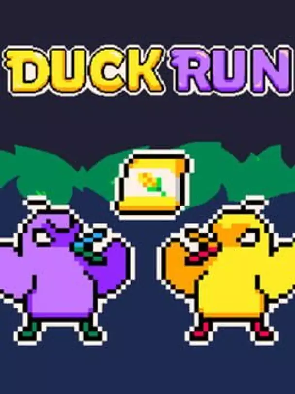 Duck Run
