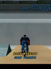 Dave Mirra Freestyle BMX 2