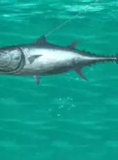 Umi no Nushi Tsuri: Takara-jima ni Mukatte