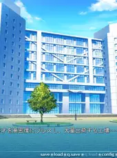 Koishiki Manual