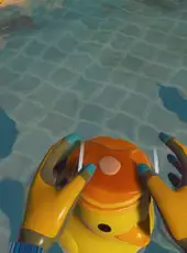 Placid Plastic Duck VR