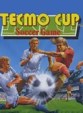 Tecmo Cup Soccer Game