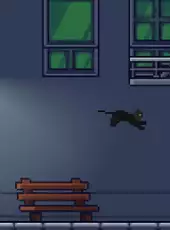 Rooftop Rascal: The Midnight Cat