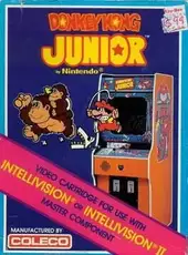 Donkey Kong Junior