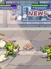 Teenage Mutant Ninja Turtles: Shredder's Revenge