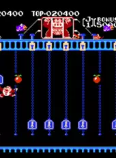 Donkey Kong Classics