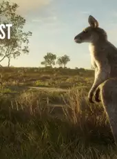 theHunter: Call of the Wild - Emerald Coast Australia