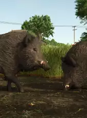 Farming Simulator 25: Vredo Pack