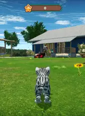 Cat Simulator 2