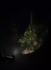 Light: Die to Survive