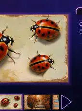 Master of Pieces Jigsaw Puzzle: Boarded Beauty