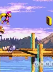 Donkey Kong Country 3