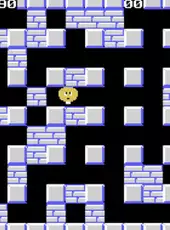 Bomber Man Special