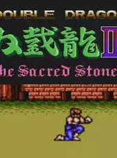 Double Dragon III: The Sacred Stones