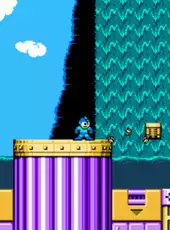 Mega Man 6