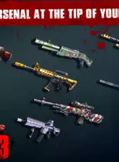 Zombie Frontier 3