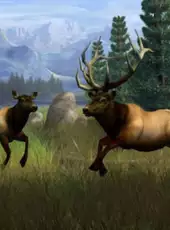 Big Buck Hunter Pro