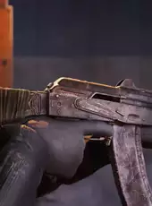 Insurgency: Sandstorm - Accolade Set Bundle