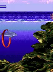 Ecco Jr.