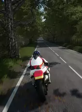 Ride 3: 2-Strokes Pack