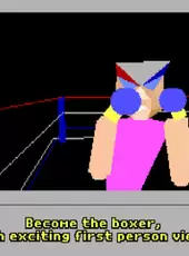 4-D Boxing