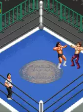 Super Fire Pro Wrestling Special