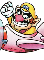 Mario & Wario