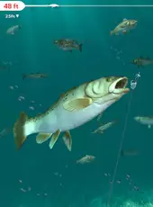 Rapala Fishing: Daily Catch
