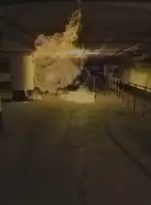 Spider Mall!
