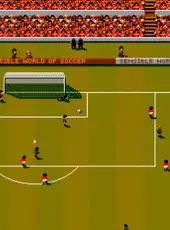 Sensible World of Soccer