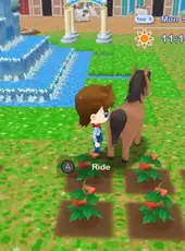 Natsume's Cozy Bundle