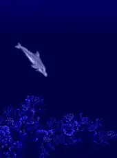 Ecco the Dolphin