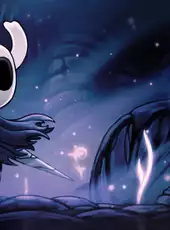 Hollow Knight