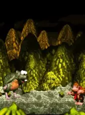 Donkey Kong Country