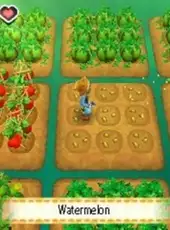 Story of Seasons