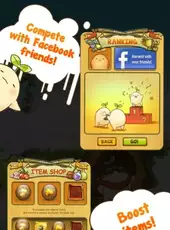 Mandora