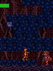 Metroid: Ripped Worlds