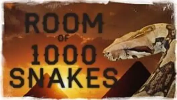 Room of 1000 Snakes