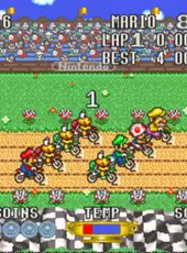 Excitebike: Bun-bun Mario Battle